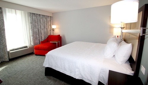 Room, 1 King Bed, Accessible, Non Smoking