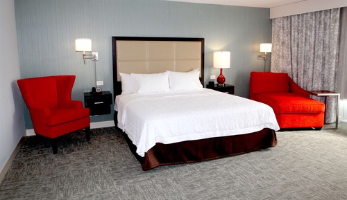Room, 1 King Bed, Non Smoking, Refrigerator & Microwave
