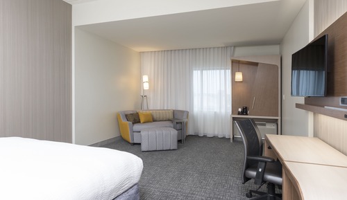 Room, 1 King Bed with Sofa bed