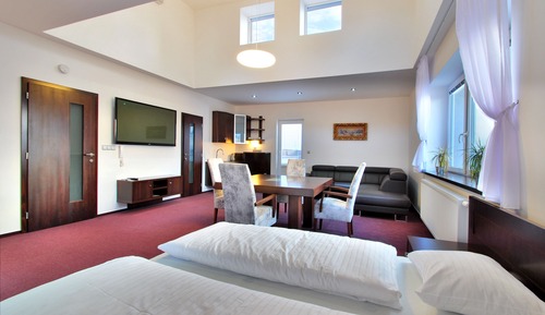 Superior Apartment