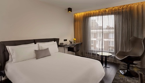 Executive Room, 1 Double Bed