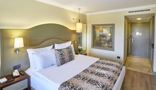 Executive Room, 1 King Bed