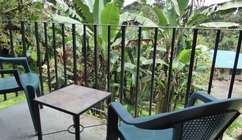 Room, 1 King Bed, Balcony (Frog Room)