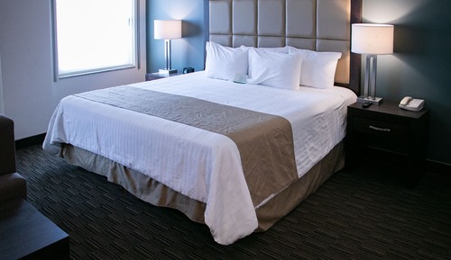 Room, 1 King Bed, Non Smoking, Refrigerator & Microwave