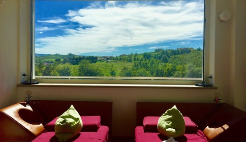 Executive Suite, Multiple Bedrooms, Accessible, Vineyard View (Dolcetto)