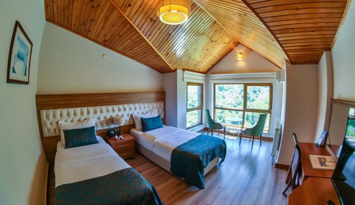 Standard Twin Room, Mountain View