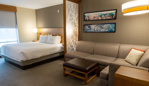 Suite, 1 King Bed with Sofa bed
