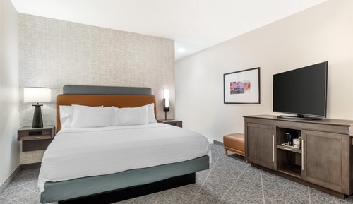 Room, 1 King Bed, Accessible, Non Smoking (Roll In Shower)