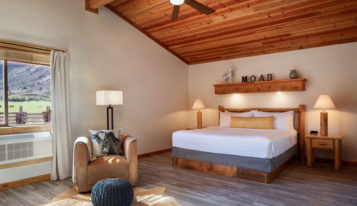 Cabin, 1 King Bed with Sofa bed (Mobility/Hearing Access, Roll-in Shwr)