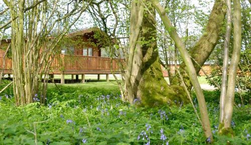 Two Bedroom Lodge with Hot Tub 