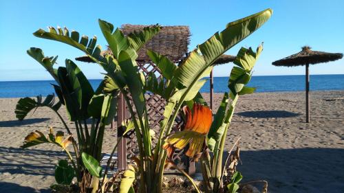 Apartment with Pool View 