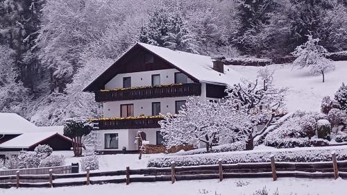 Apartment with Shower
