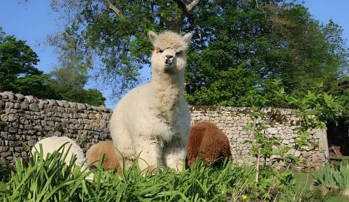 Superior One-Bedroom Apartment