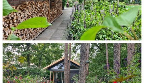 Studio with Garden View