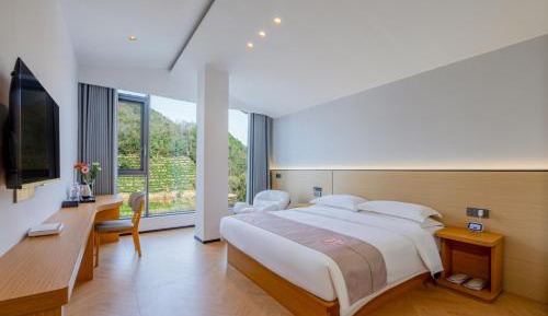 Double Room with Mountain View