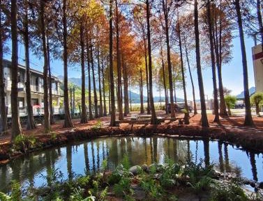 Double Room with Mountain View