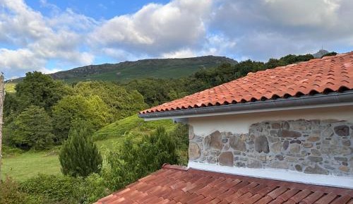 Double Room with Mountain View