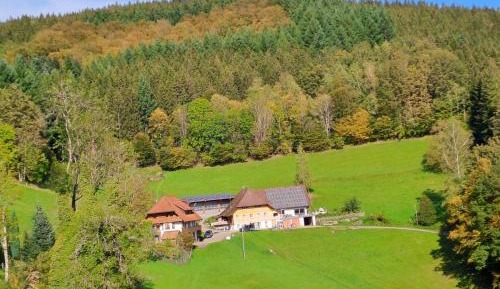 Superior One-Bedroom Apartment