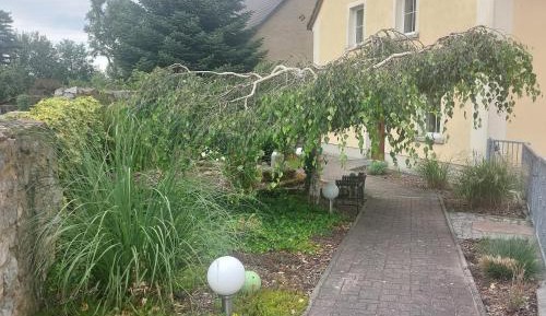 Superior One-Bedroom Apartment