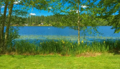 Bungalow - Water Front 