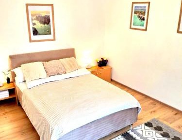 One-Bedroom Apartment with View