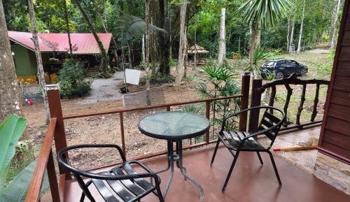 King Room with Garden View