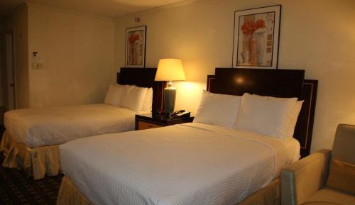 Standard Double Room with Two Double Beds