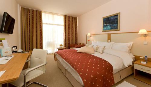 Double Room with Balcony and Park View