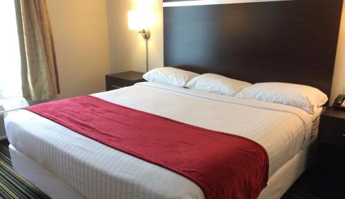 Single Room with King Bed