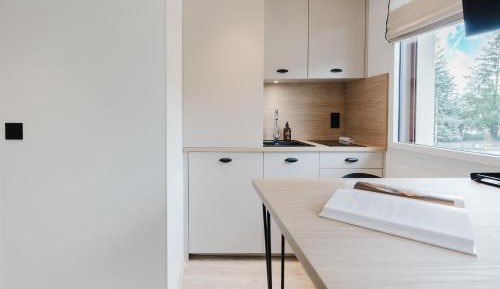 Classic Apartment