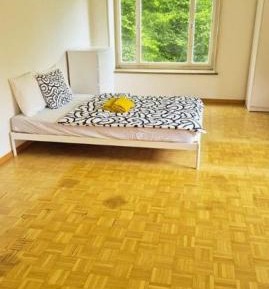 Deluxe One-Bedroom Apartment with Garden View