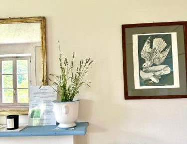 King Room with Lake View