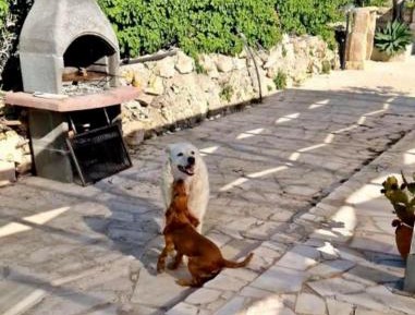 Triple Room with Bathroom