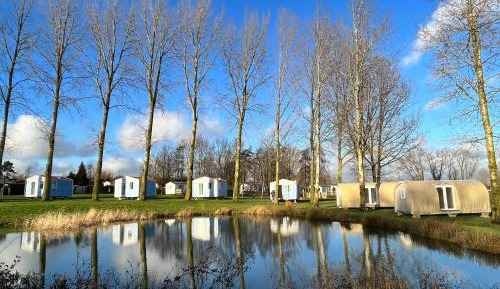 Mobile Home