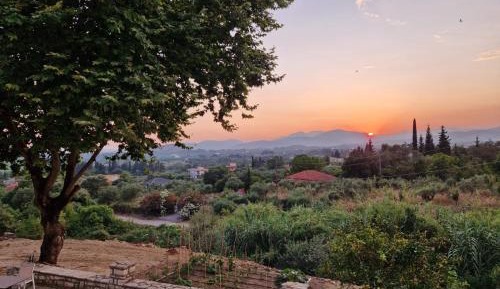Two-Bedroom Standard Apartment