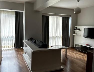 Deluxe One-Bedroom Apartment with City View