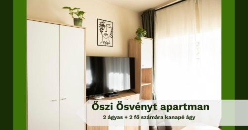 Studio with Sofa Bed