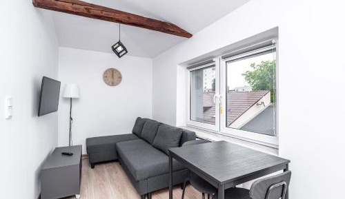 Studio with Sofa Bed