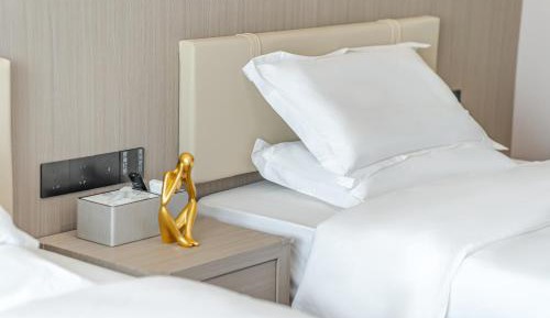 Deluxe Double or Twin Room with City View