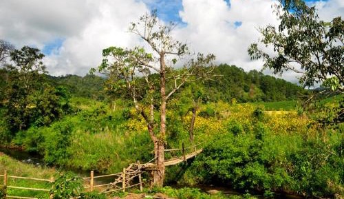 Bungalow with River View