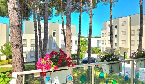 Apartment with Balcony