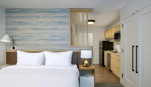 King Studio Suite with Sofa Bed