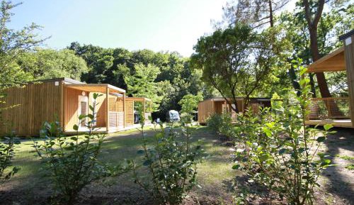 One-Bedroom Chalet