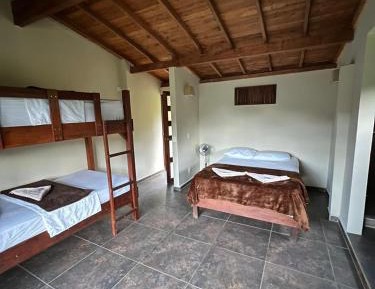Bunk Bed in Mixed Dormitory Room