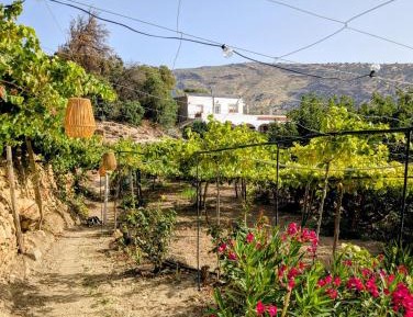 One-Bedroom Apartment with Garden View
