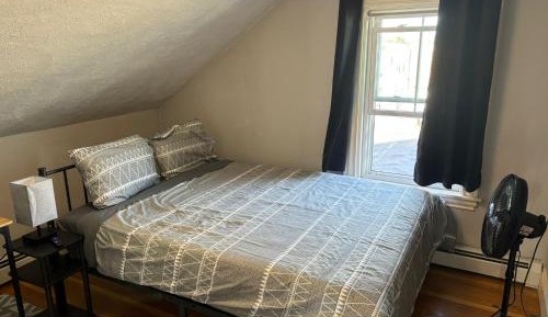 Basic Triple Room