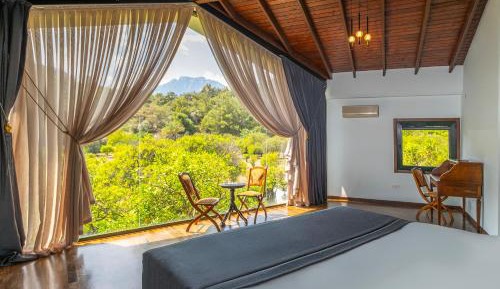 Family Room with Garden View