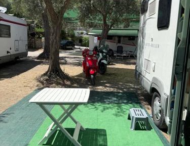 Mobile Home
