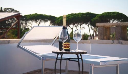 Double or Twin Room with Terrace