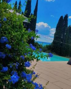 Studio with Terrace and Lake View